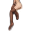 ad_online_womens_shiny_funny_tights_crotchless-brown01.jpg