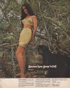 ad_sears_1969_mccall's_may_pg41.jpg